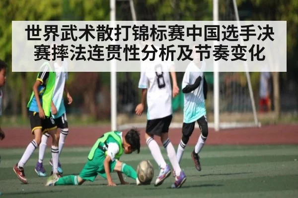 世界武术散打锦标赛中国选手决赛摔法连贯性分析及节奏变化